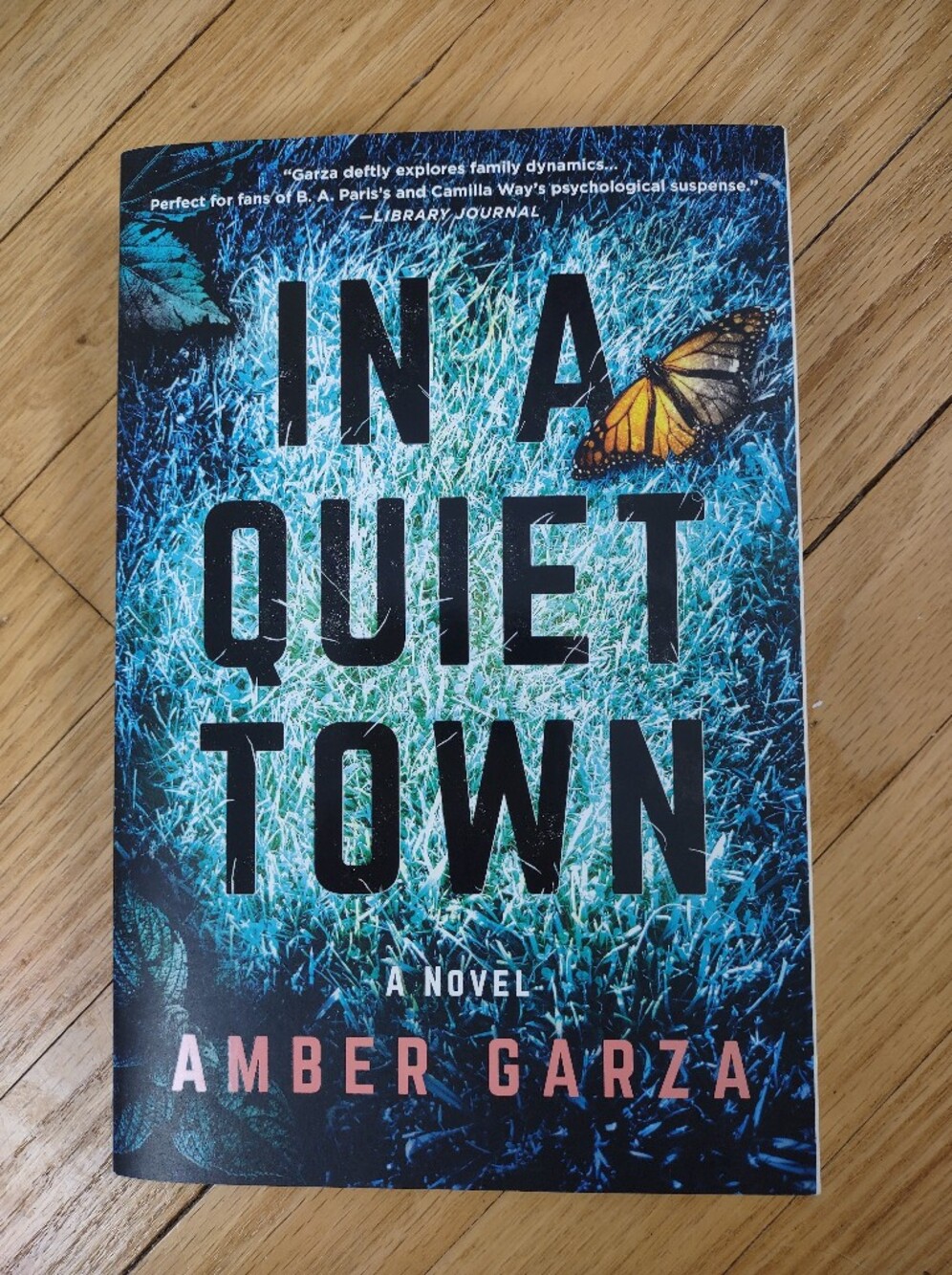 In a Quiet Town by Amber Garza